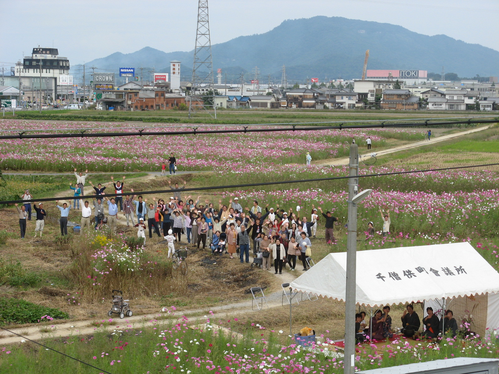 cosmos2007