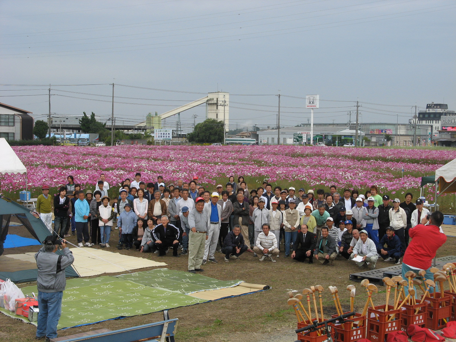 cosmos2010