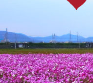 千僧供町の画像2-1